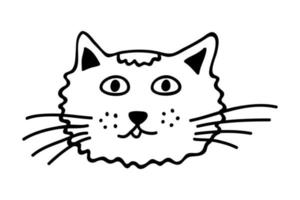 mão desenhado gato focinho clipart. fofa animal face rabisco vetor