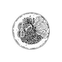 mão desenhada quinoa tigela isolada no fundo branco. ilustração vetorial no estilo de desenho. vetor