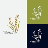 trigo grão agricultura logotipo Projeto para padaria o negócio modelo vetor