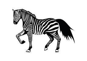 ilustração zebra design ilustração vetor