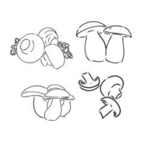 conjunto de cogumelos champignon vetor