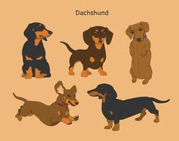 personagem dachshund fofo. mão desenhada estilo ilustrações vetoriais. vetor