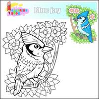 fofa desenho animado pássaro azul jay, coloração livro vetor