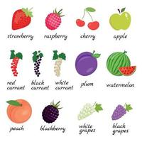 uma conjunto do bagas e frutas. morango, framboesa, maçã, cereja, groselha, ameixa, melancia, pêssego, uva, Amora. vetor