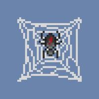 aranha em rede dentro pixel arte estilo vetor