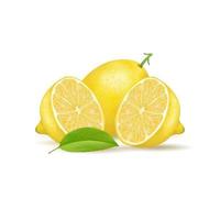 fruta fresca do limão isolada no fundo branco. ilustração vetorial realista vetor