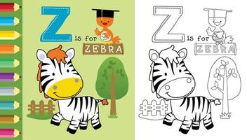 desenho animado do engraçado zebra com estudioso pássaro, coloração livro ou página vetor