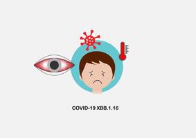 covid-19 xbb.1.16 variante causando Pruriginoso conjuntivite vetor