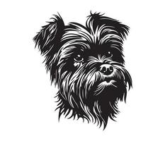 Affenpinscher face, silhuetas cachorro face, Preto e branco Affenpinscher vetor