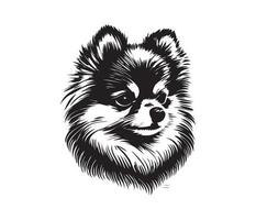 pomerânia face, silhueta cachorro face, Preto e branco pomerânia vetor