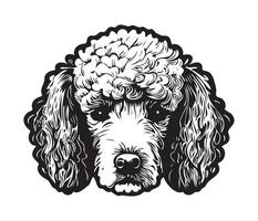 poodle face, silhueta cachorro face, Preto e branco poodle vetor