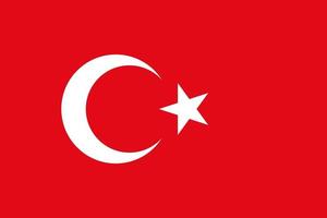 ilustração simples da bandeira da Turquia para o dia da independência ou eleição vetor