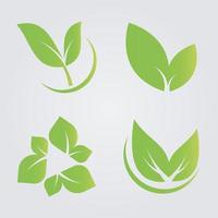 definir ícone de folhas verdes, rótulo natural na ilustração de background.vector branco vetor