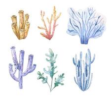 algas marinhas definir. embaixo da agua plantas. aguarela ilustração. oceano. algas marinhas algas, coral recife Projeto elemento. aquário plantas silhuetas vetor