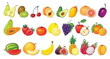 desenho animado fruta fatias. kiwi, Dragão fruta, romã, pêssego, maçã, uva, manga, limão, melancia, laranja. maduro suculento frutas vetor conjunto