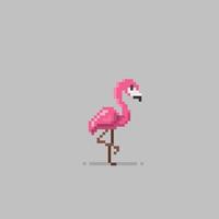 flamingo pássaro dentro pixel arte estilo vetor