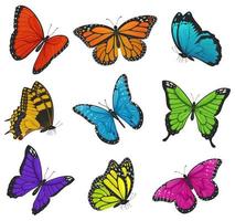 grande coleção do colorida borboletas. vetor ilustração