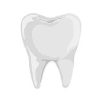 branco dente. dental saúde e higiene. plano vetor ilustração isolado em branco.