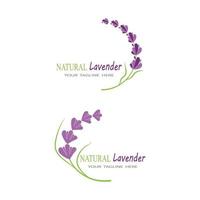 lavanda logotipo modelo vetor símbolo natureza