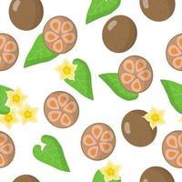 padrão sem emenda de desenho vetorial com frutas exóticas siraitia grosvenorii ou arhat, flores e folhas em fundo branco vetor