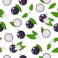 padrão sem emenda de desenho vetorial com frutas exóticas de jabuticaba, flores e folhas em fundo branco vetor