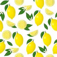 padrão sem emenda de desenho vetorial com limon cítrico ou frutas exóticas de limão, flores e folhas em fundo branco