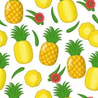 padrão sem emenda de desenho vetorial com ananas comosus ou frutas exóticas de abacaxi, flores e folhas em fundo branco vetor