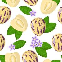 padrão sem emenda de desenho vetorial com solanum muricatum ou pepino, frutas exóticas, flores e folhas em fundo branco vetor