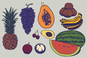 grande conjunto de frutas frescas mão ilustrações desenhadas em estilo de gravura. esboços de alimentos diferentes. ilustração de elementos detalhados, perfeita para menu, design de livro. conceito de estilo de vida saudável vetor