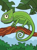 camaleão animal colori desenho animado ilustração vetor