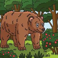 Urso animal colori desenho animado ilustração vetor