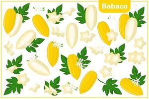 conjunto de ilustrações de desenho vetorial com frutas exóticas de babaco, flores e folhas isoladas no fundo branco vetor