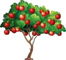 maçãs vermelhas em uma árvore isolada no fundo branco vetor