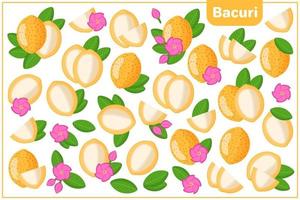 conjunto de ilustrações de desenho vetorial com frutas exóticas de bacuri, flores e folhas isoladas no fundo branco vetor