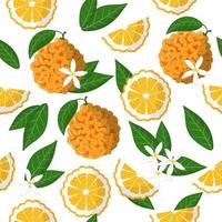 padrão sem emenda de desenho vetorial com frutas exóticas de laranja amarga cítrica, flores e folhas em fundo branco vetor