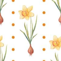 aguarela botânico realista floral padronizar com narciso. brilhante amarelo narciso em uma branco fundo. natural e vibrante repetido impressão para têxtil, papel de parede. Primavera flores vetor