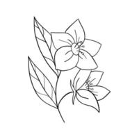 silhuetas negras de grama, flores e ervas isoladas no fundo branco. mão desenhada esboço flores e insetos. vetor