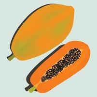 ilustração do mamão fruta vetor imagem ícone