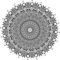 fácil mandala, simples mandalas flores coloração página em branco fundo. vetor