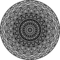 floral arte mandala. étnico Projeto ornamento. arabesco medalhão vetor