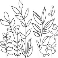 botânico elemento, botânico linha desenho, vintage botânico coloração Páginas, botânico elementos, botânico flor ilustração, botânico ilustração Preto e branco, botânico linha desenhando folhas, vetor