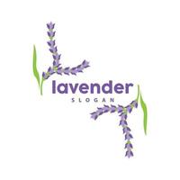 lavanda logotipo, simples elegante roxa flor plantar vetor, cumprimento cartão projeto, bandeira, flor ornamento, lavanda mão desenhado casamento, ícone símbolo ilustração vetor