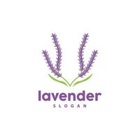 lavanda logotipo, simples elegante roxa flor plantar vetor, cumprimento cartão projeto, bandeira, flor ornamento, lavanda mão desenhado casamento, ícone símbolo ilustração vetor