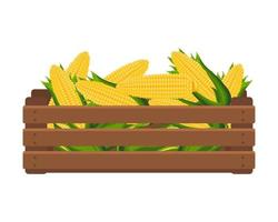 de madeira caixa com doce milho em a cob. saudável comida, vegetais, agricultura ilustração, vetor