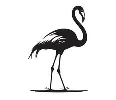 flamingo, silhuetas flamingo, Preto e branco flamingo vetor