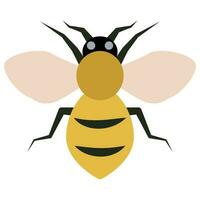 plano cor ícone para bumble abelha. vetor