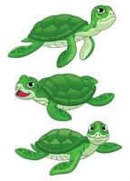 conjunto do fofa desenho animado tartaruga vetor