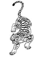 mão desenhado do Preto e branco estilo tigre vetor