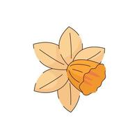 rabisco desenho animado narciso narciso flores vetor ilustração com linha