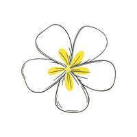 frangipani ou plumeria exótico verão flor com amarelo pétalas. mão desenhado frangipani Flor isolado dentro branco fundo. esboço vetor ilustração